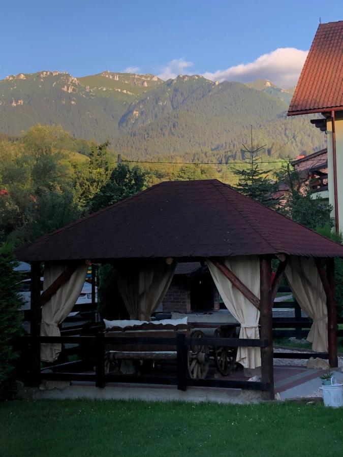 Pensiunea Esenzza Bran  Exteriér fotografie