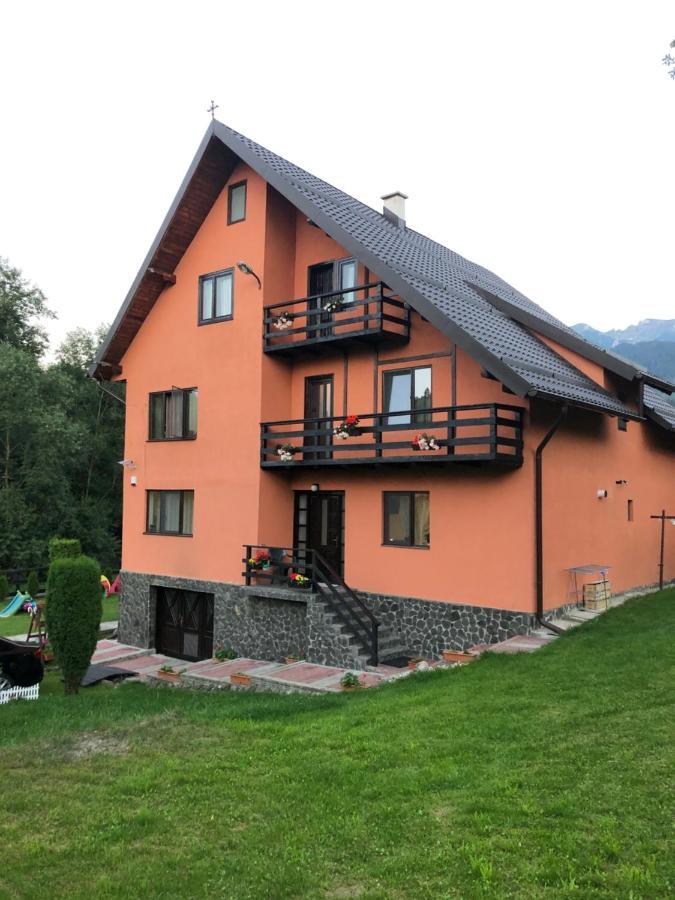 Pensiunea Esenzza Bran  Exteriér fotografie