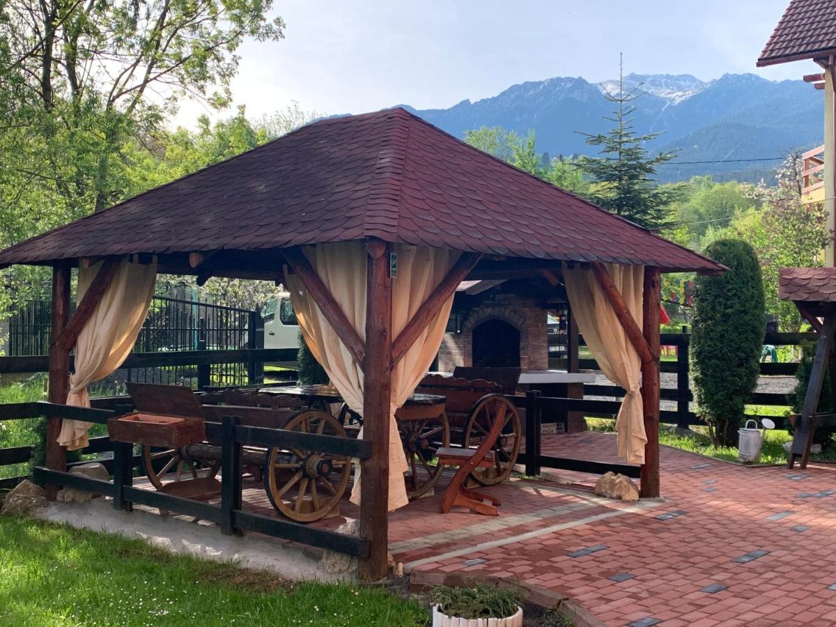 Pensiunea Esenzza Bran  Exteriér fotografie